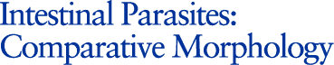 Intestinal Parasites: Comparative Morphology