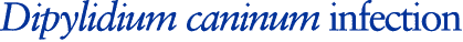 Dipylidium caninum infection
