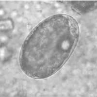 Case 10 Image A