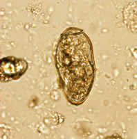 Case 27 Image A