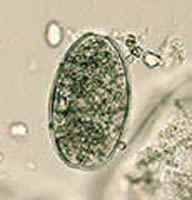 Case 9 Image B
