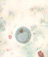 Iodamoeba buetschlii cyst 