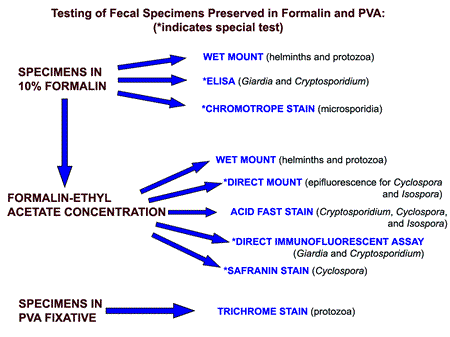 Testing of Fecal Specimens