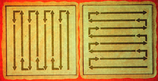 Scanning coverslip area