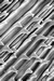 Detail of nondendiculated cuticular spines