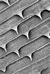 Detail of nondendiculated cuticular spines