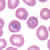 Trophozoites of P. falciparum in a thin blood smear