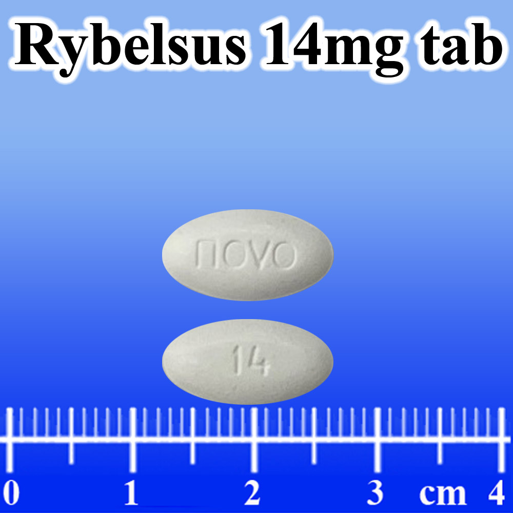 Rybel 訊息內容