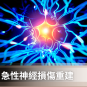 神經修復重建中心